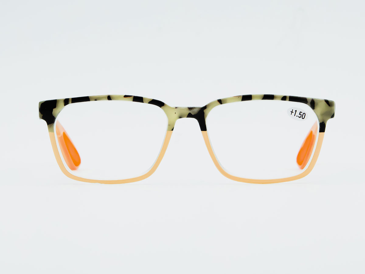 Tortoiseshell Plastic Frame Reading Glasses